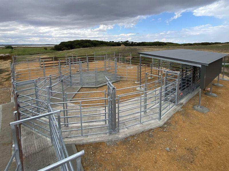 From Panels to Complete Livestock Yard Systems