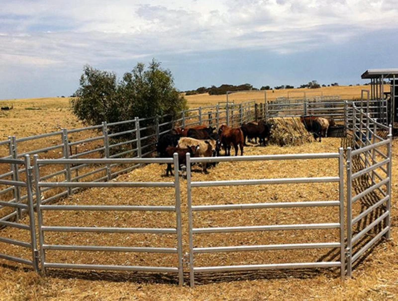 Livestock Gates